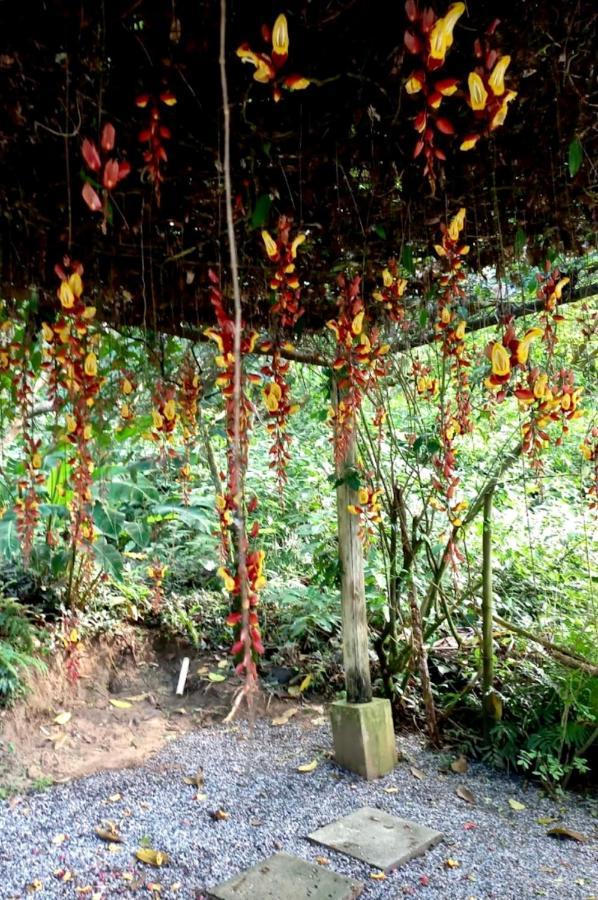 Pousada Bosque Toque Toque Sao Sebastiao (Sao Paulo) Exterior foto